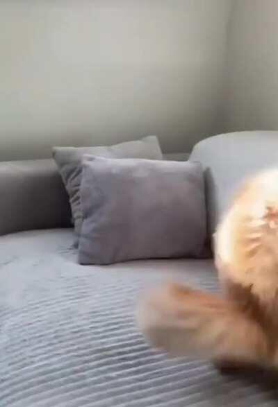 Relax .. don't get excited