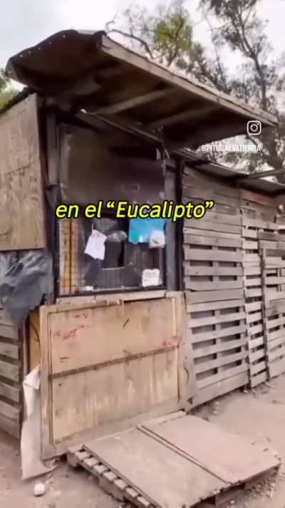 Parece ser que practicar 4 horas seguidas tiros libres para perfeccionar tu pegada no es virtud, pero un plan social si.