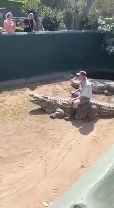 Crocodile handling went haywire 