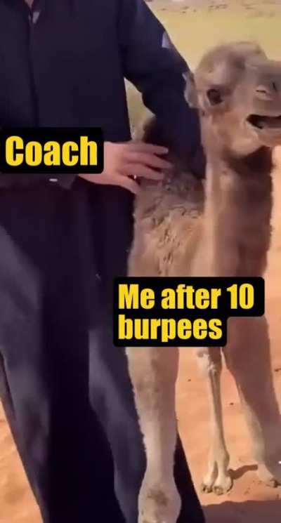 Buck furpees!