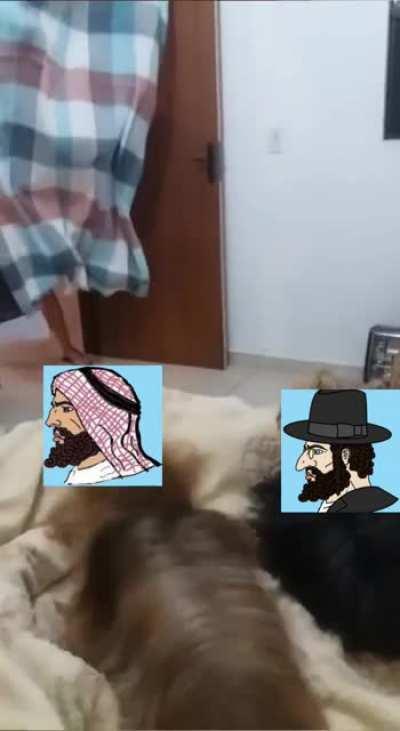 What would happen if USA disappeared