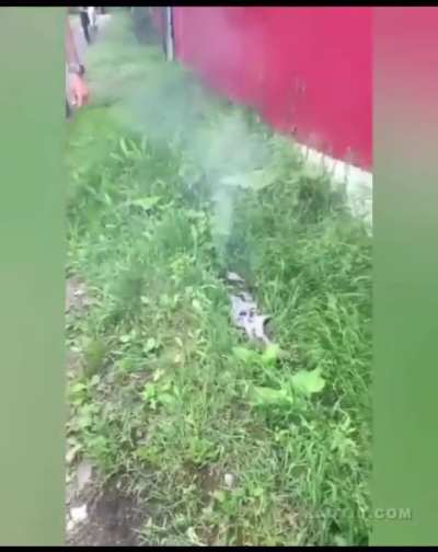 Man suddenly bursts into flames, and then something strange happens at the end. 