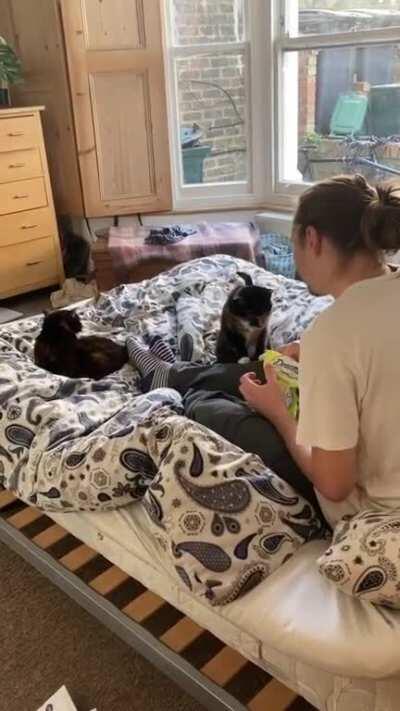 He thought adopting two 11 year old ladies was crazy.