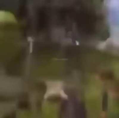 Mainstream tomfoolery