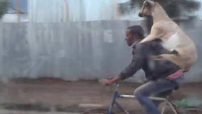 Not so confusing when you live in Ethiopia