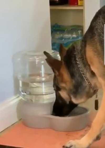 What kind of sorcery is this!??