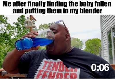 wholesome 100 baby fallen