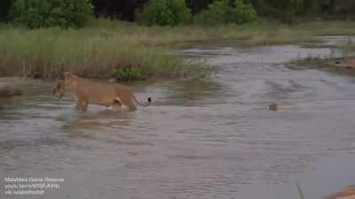 I wonder what did he do to deserve it