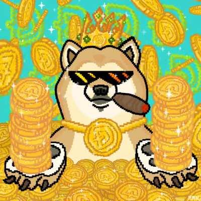 Doge is King 🚀🚀📈🛸🌌