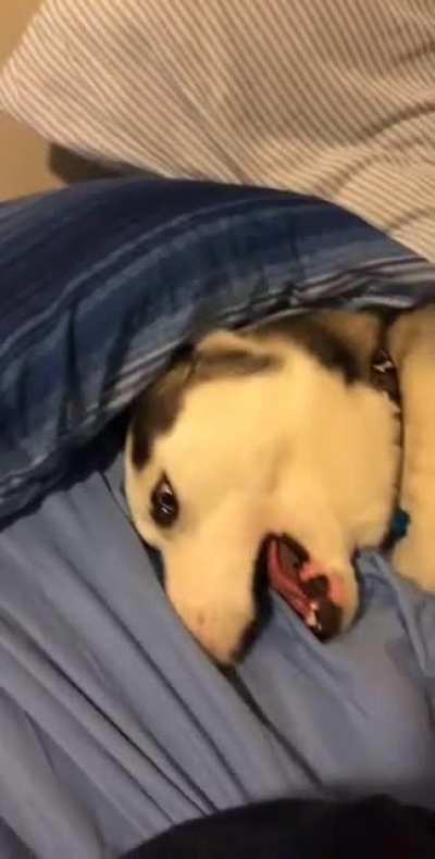 There was no reason for this, he’s just a drama queen