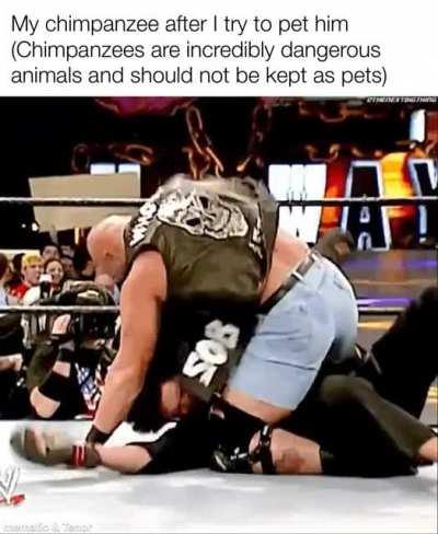 He&rsquo;s just a little grumpy right now