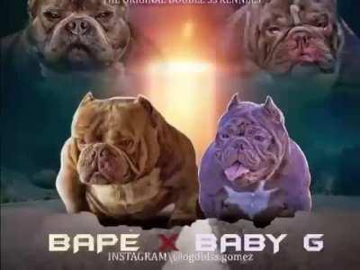 What the fuck there so much