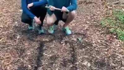 Districts on Saturday didn’t wanna do the long run so did this