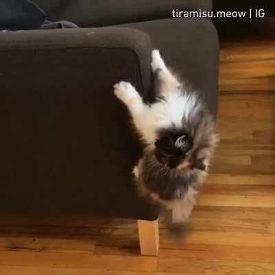 When the morning coffee kicks in