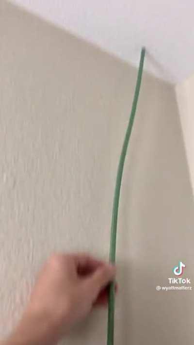 Planktontontonton tower