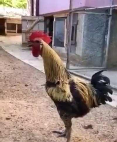 It’s a hard job but..