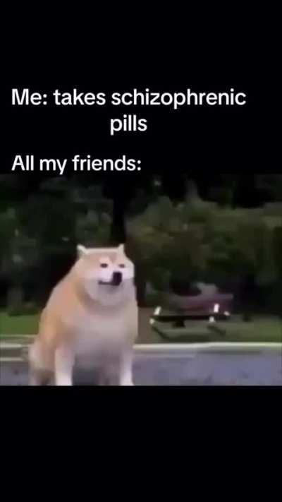 A dónde se fueron bastardos?