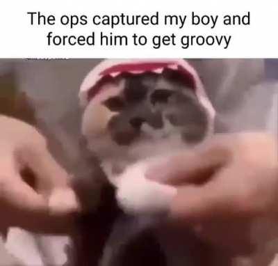 Fate worse than a boogie