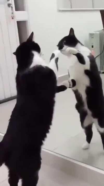 E aqui tem esse riacho essa árvore e..... woooow..... Pode levar tudo!