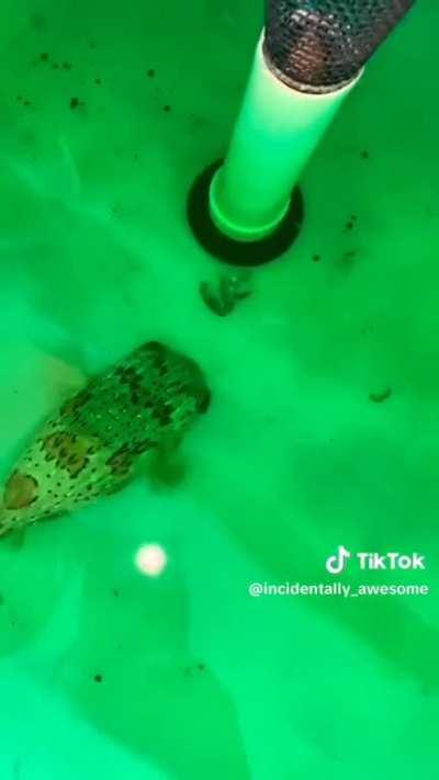 Nature is cruel and nothing matters