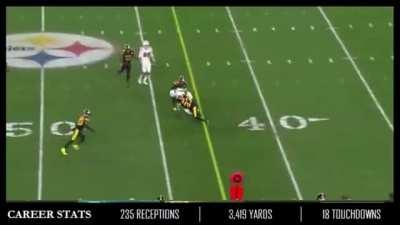 MIAMI DOLPHINS: DeVante Parker