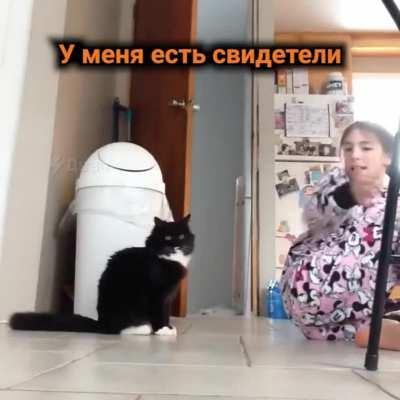 С какой же смешной интонацией она это произносит