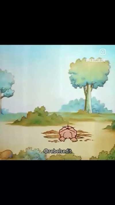 Pois é Little Onion, a gente tenta