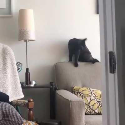 Little startled Batman 😀