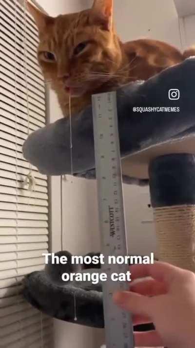 Now here’s the drooler