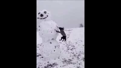 Me when that beat drops