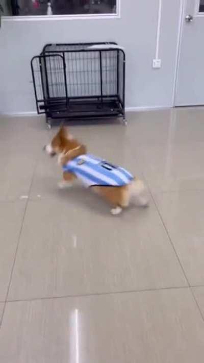 Absolute dream of every Leonel Messi fan comes true!😘