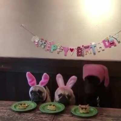 So, you see, all above board