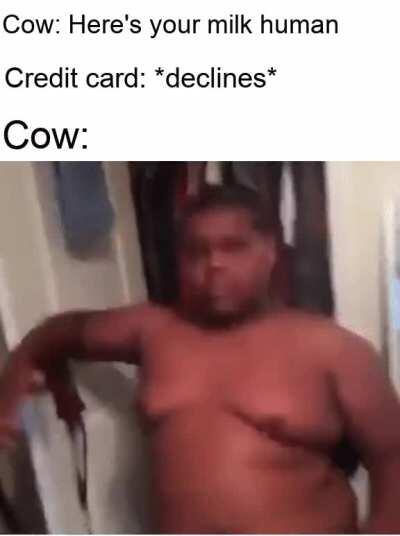 That milk belongs to me Hooman!