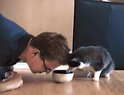 If you can eat it, I guess I can too,