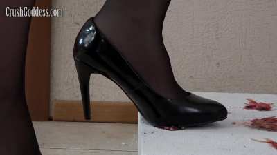 Crushgoddess Anya goldfish 12