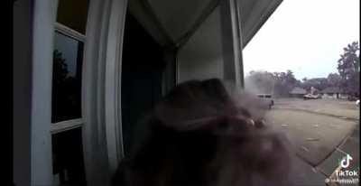 Wonder what the cats plan was