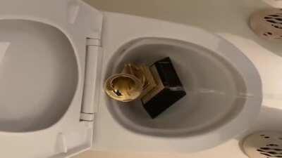 Piss On Your Grammy's (CONCEPT)