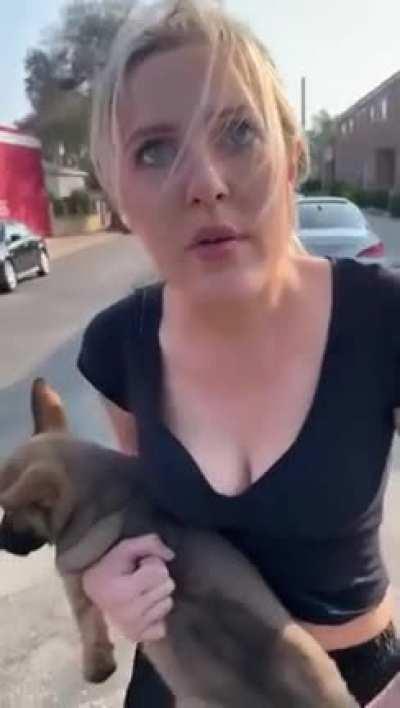 Бедный пёсель.