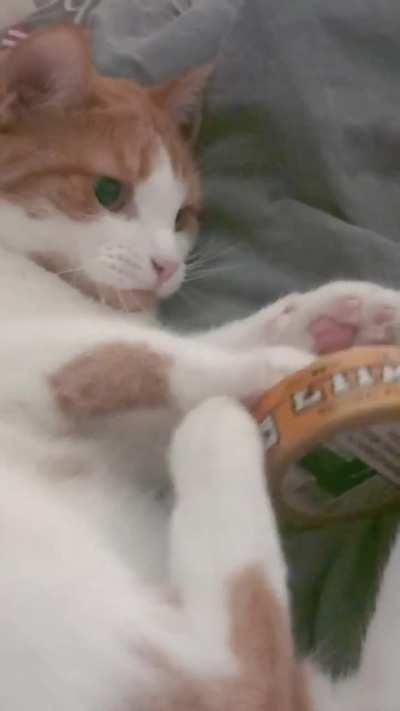 Look at those toebeans 