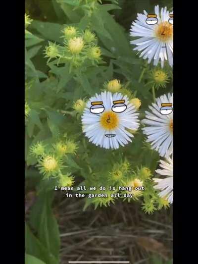 Beeing a flower is awesome