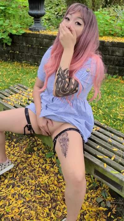 Little park walk turned into more