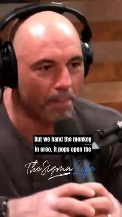 Indian World Cup campaign summarized.