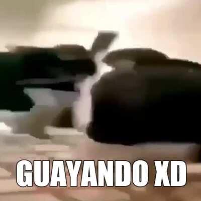 Guayando?!?