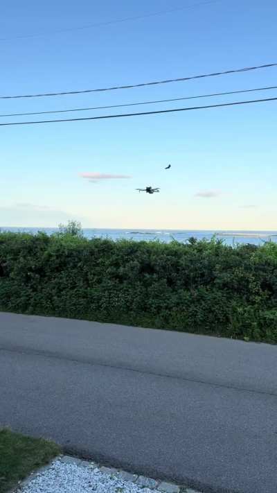 Well... I guess it's butterfly proof?