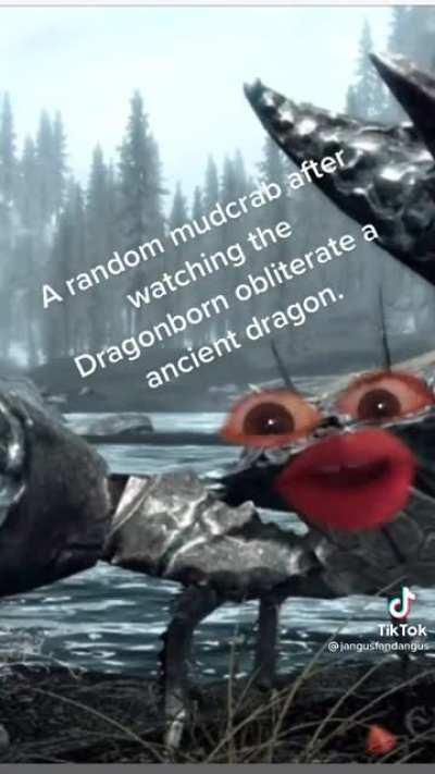 Mud crabs are the bravest thing In skyrim.
