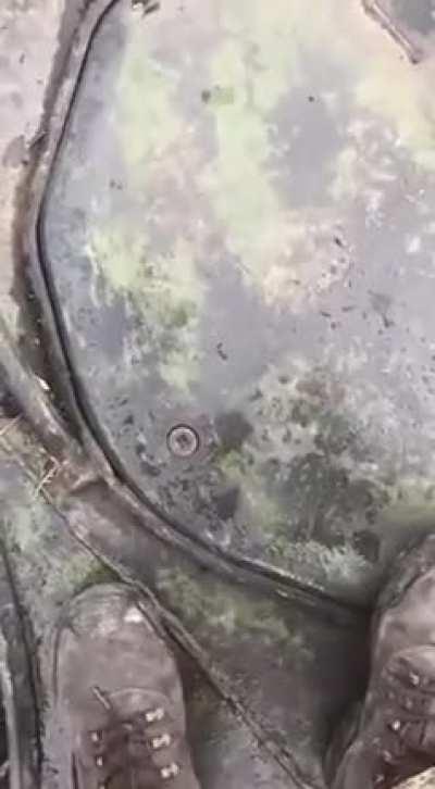 Schrödinger's cat: Ukraine edition.