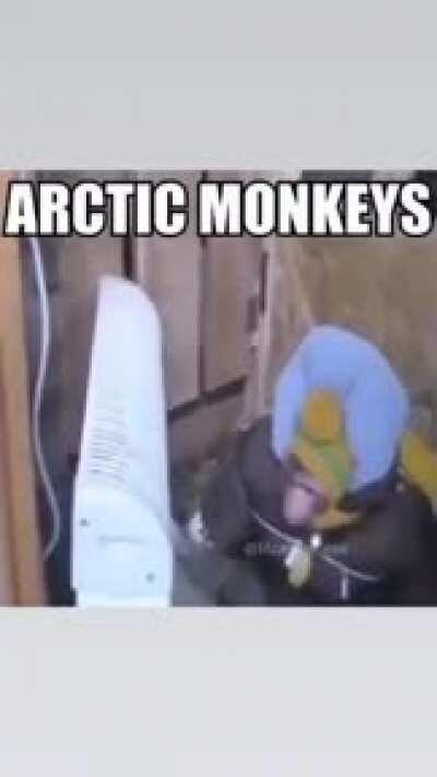 mamacos do ártico KKKJK (I'm brazilian, sorry😔)