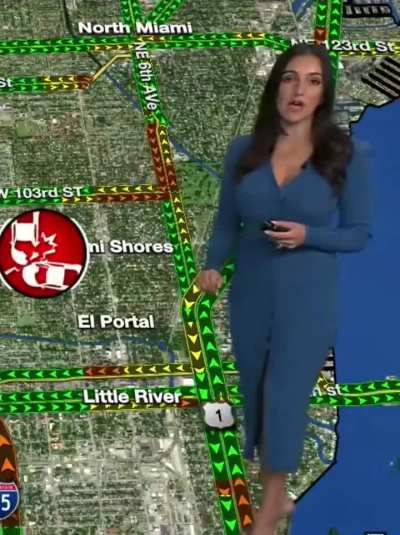 Annaliese Garcia | 8.15.25 | Local 10 Miami