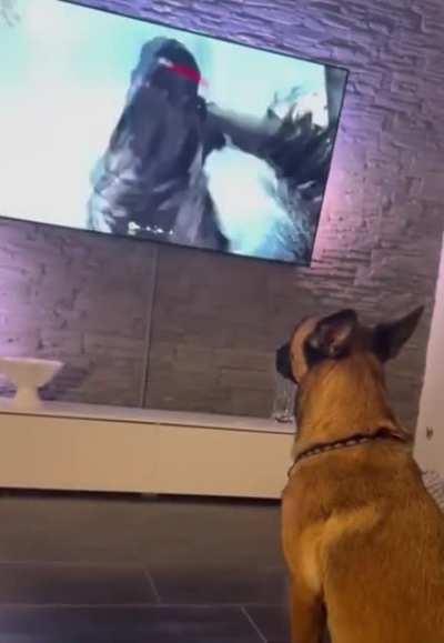 Aye c'mon hooman that aint right.