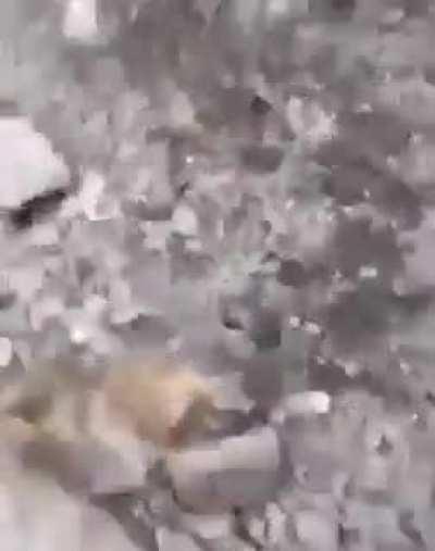 The guy filming on his cell phone is a born cameraman.